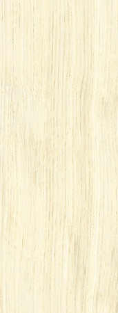 Дуб Белый 8873