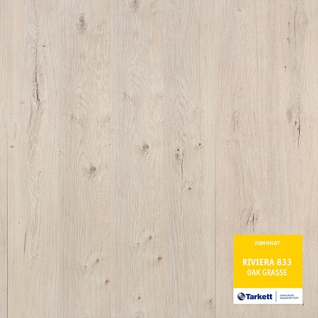 Дуб Грасс 504034022