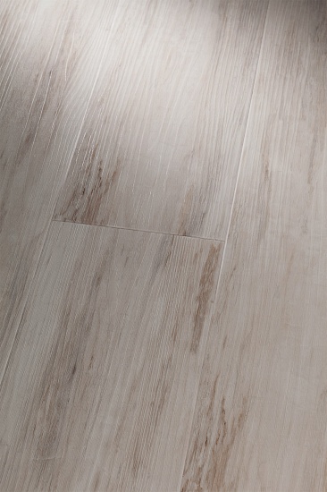 LX163-1-19 Сосна белая