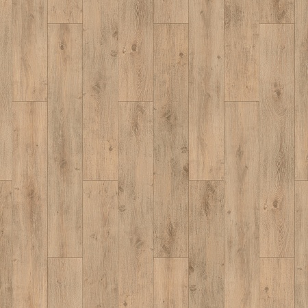 Дуб Престо 504016067