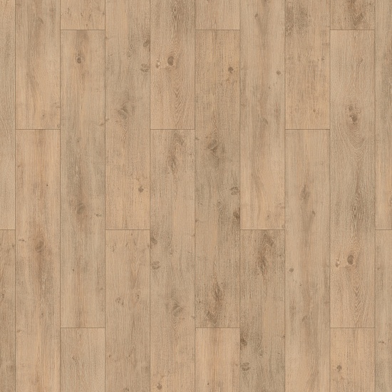 Дуб Престо 504016067