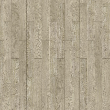 Rembrandt S 504450008