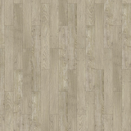 Rembrandt S 504450008