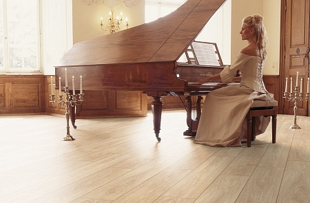 Дуб Цертус 1556