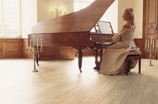 Дуб Цертус 1556