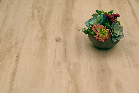 Груша Хиллари NOX-1564